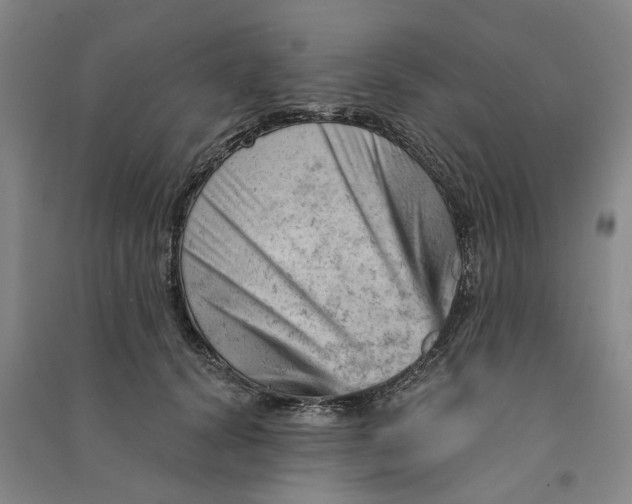 X0000090890656200708171707