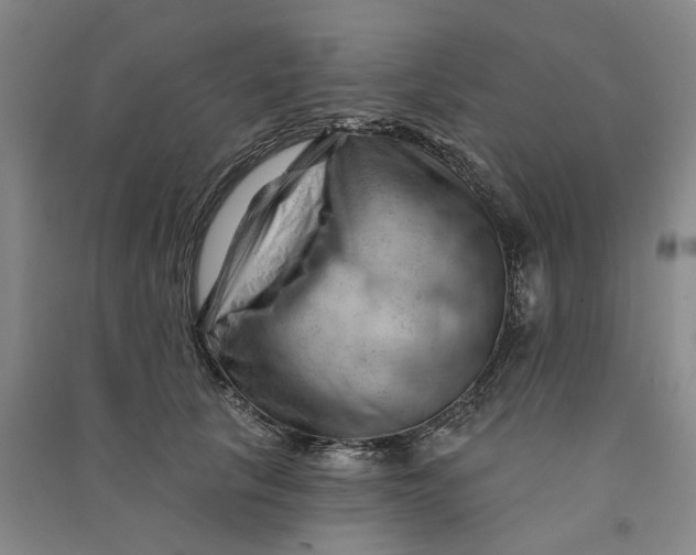 X0000090890657200708171707