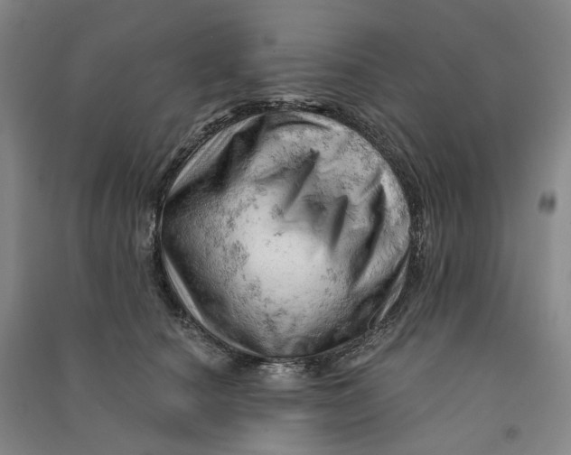 X0000090890660200708171707