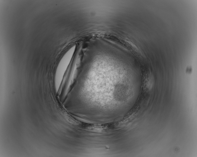 X0000090890661200708171707