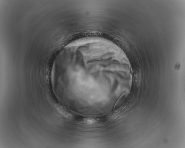 X0000090890662200708171707