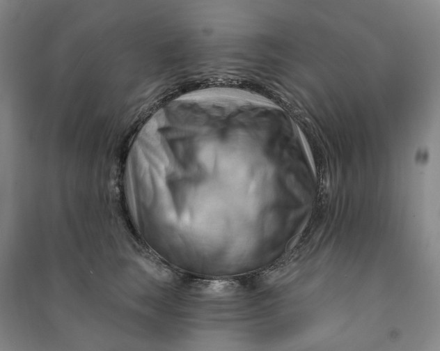 X0000090890663200708171707