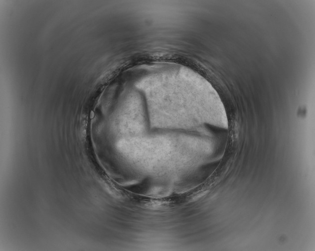 X0000090890664200708171707