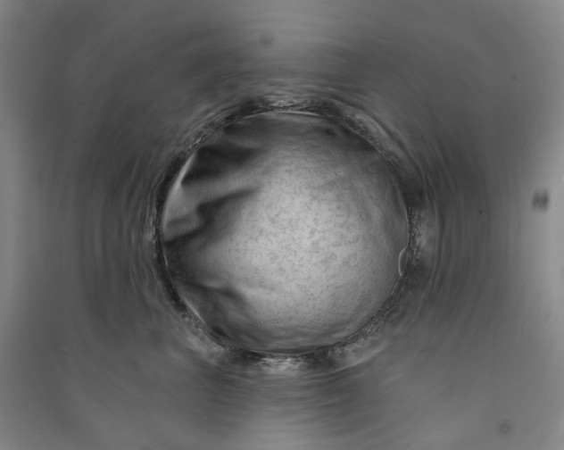 X0000090890667200708171707