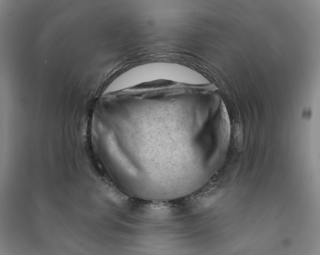 X0000090890668200708171707