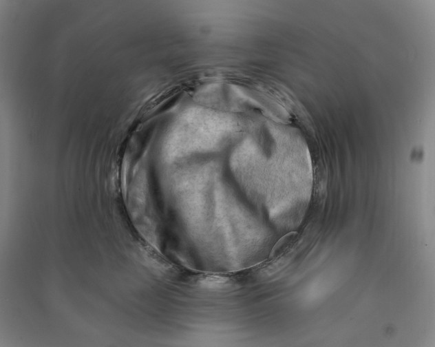 X0000090890669200708171707