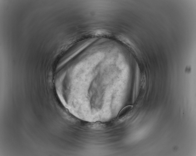 X0000090890670200708171707