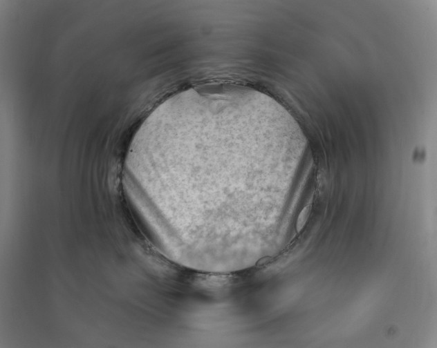 X0000090890671200708171707