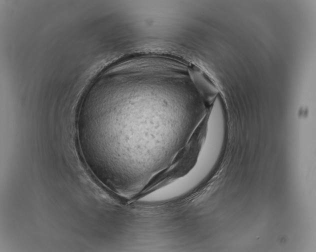 X0000090890673200708171706