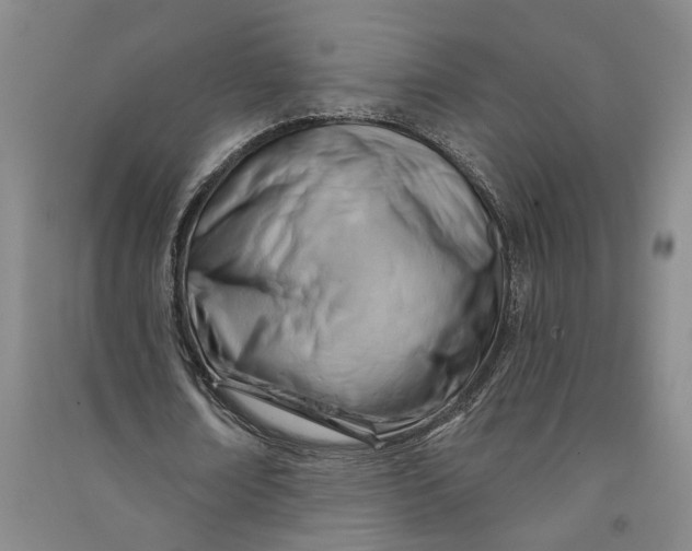 X0000090890674200708171706