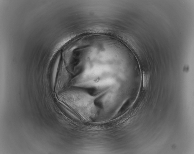 X0000090890675200708171706