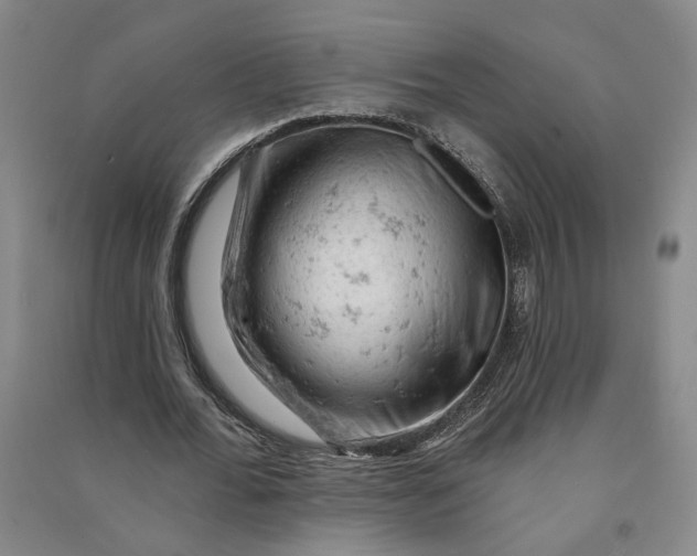 X0000090890676200708171706