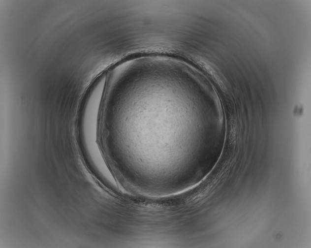 X0000090890677200708171706