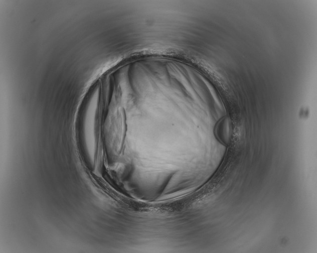 X0000090890678200708171706