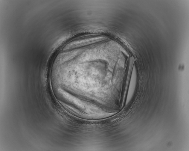 X0000090890679200708171706