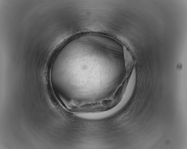 X0000090890680200708171706