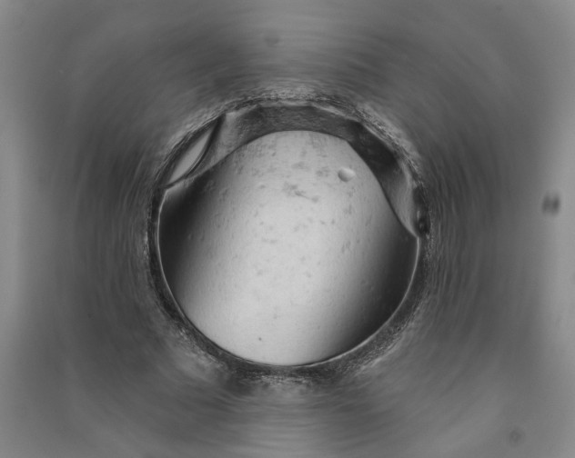 X0000090890681200708171706