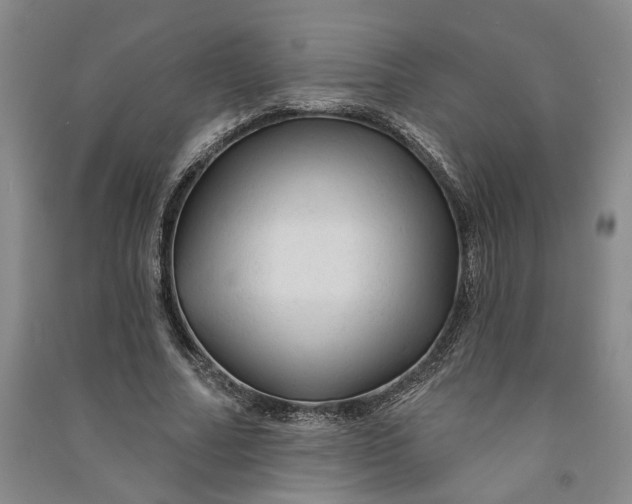 X0000090890682200708171706