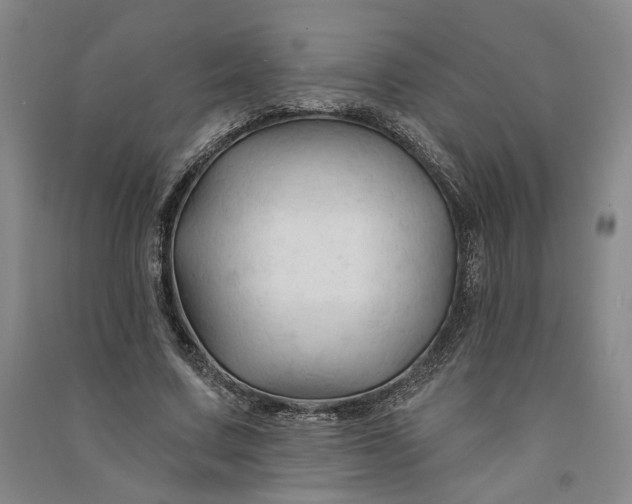 X0000090890683200708171706