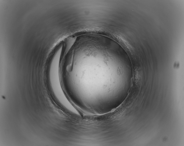 X0000090890684200708171706