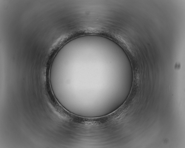 X0000090890686200708171706