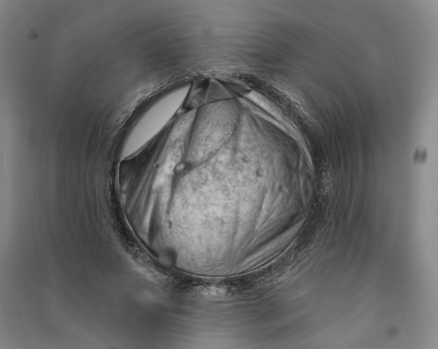 X0000090890687200708171706