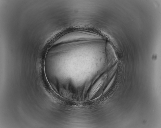 X0000090890688200708171706