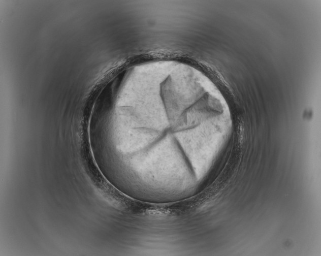 X0000090890690200708171706