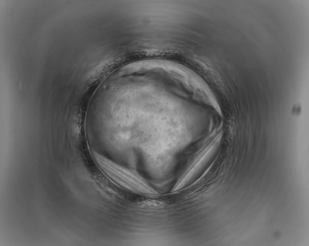 X0000090890691200708171706