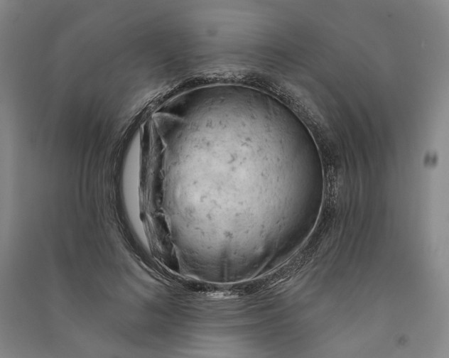 X0000090890692200708171706