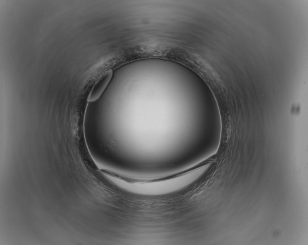 X0000090890693200708171706