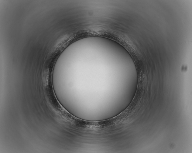 X0000090890694200708171706