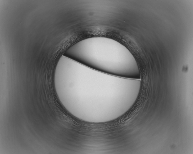 X0000090890697200708171706