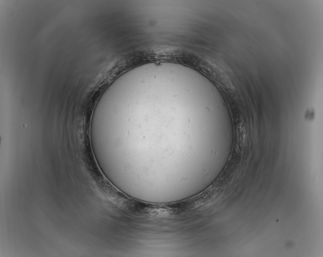 X0000090890698200708171706