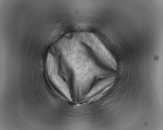 X0000090890699200708171706