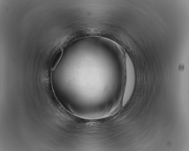 X0000090890700200708171706