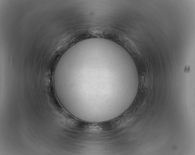 X0000090890702200708171706