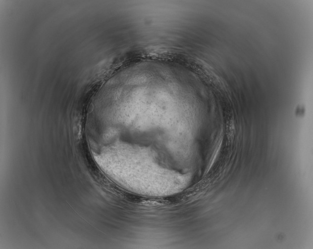 X0000090890703200708171706