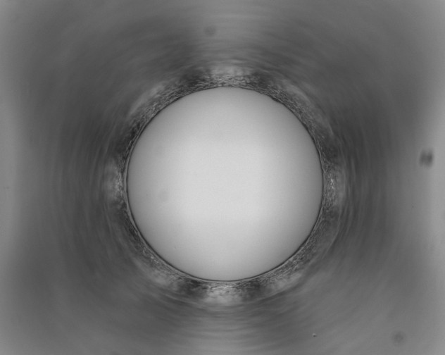 X0000090890705200708171706