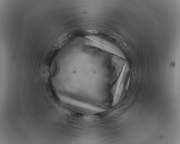 X0000090890707200708171706