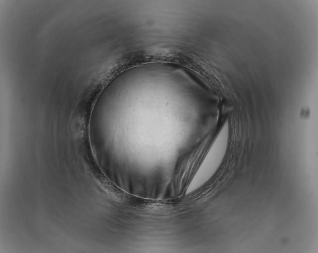 X0000090890708200708171706