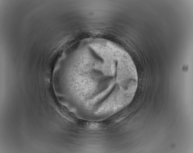 X0000090890710200708171706