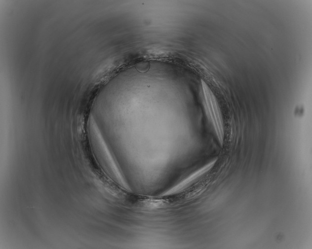 X0000090890711200708171706