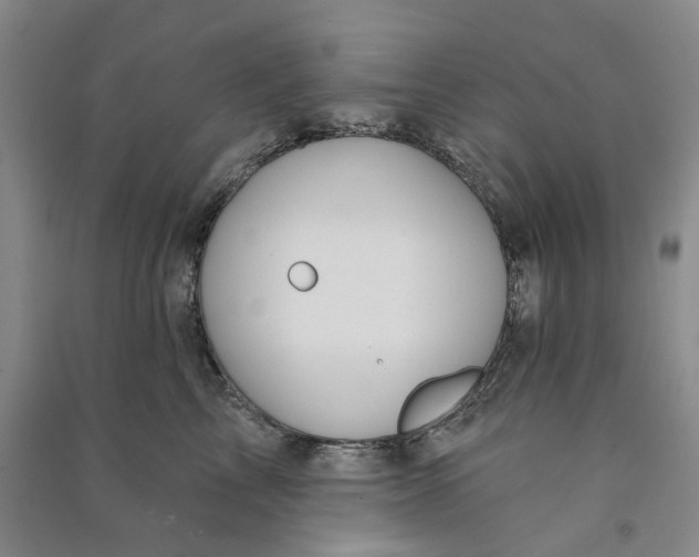 X0000090890713200708171705