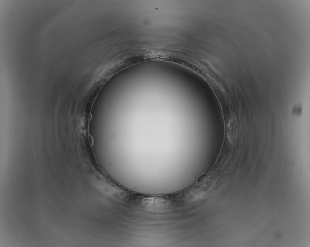 X0000090890714200708171705