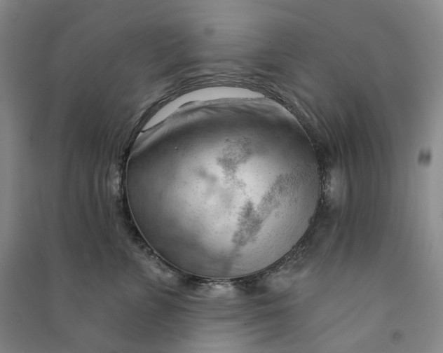 X0000090890715200708171705