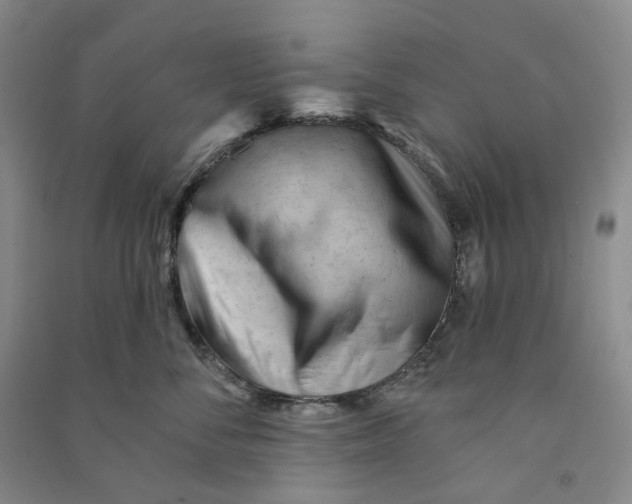 X0000090890716200708171705