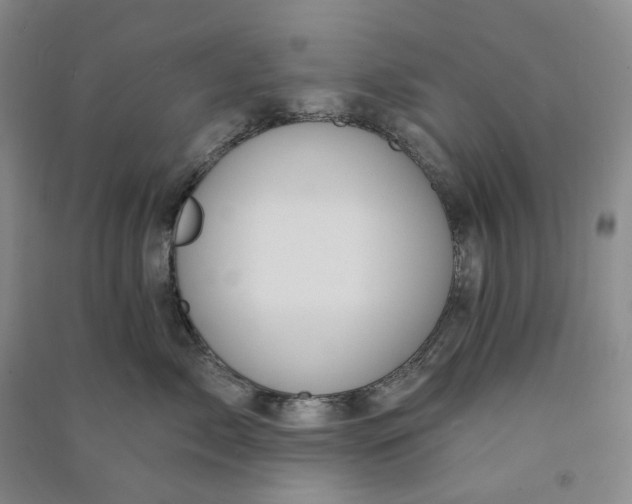 X0000090890717200708171705