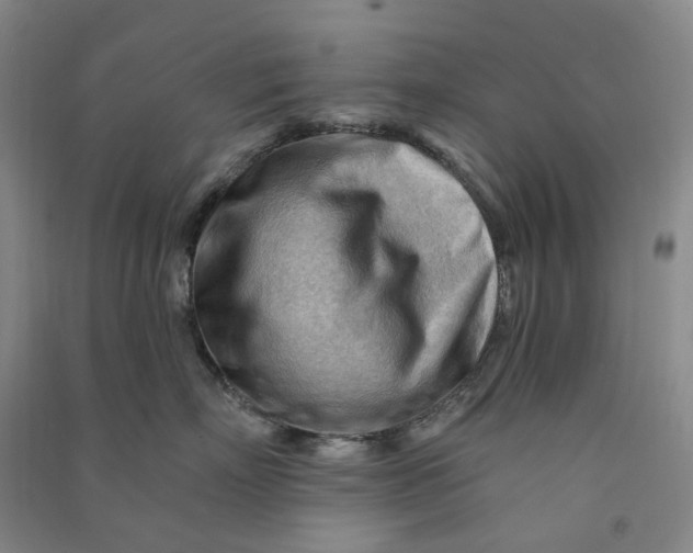 X0000090890718200708171705