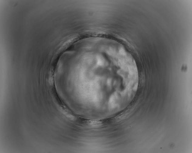 X0000090890719200708171705